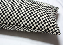 Load image into Gallery viewer, Maharam Checker by Alexander Girard Pillow Jaspid studio